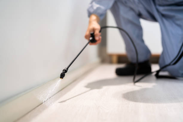 Licensed Pest Control service in Clinton, IA - Show Me Pest Control